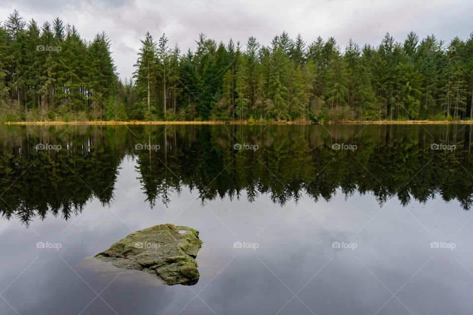 A rock in smooth water in front of some trees and their reflection