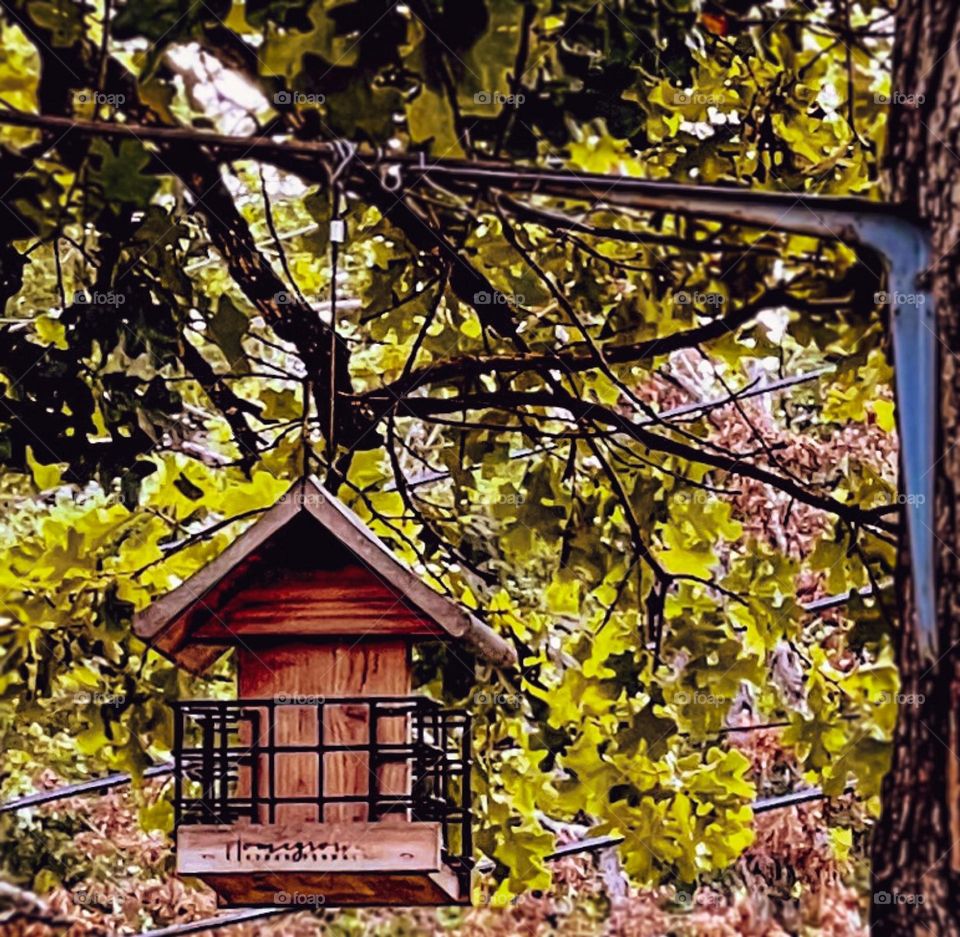 A rustic birdhouse hangs from a tree branch in a shady yard. 
