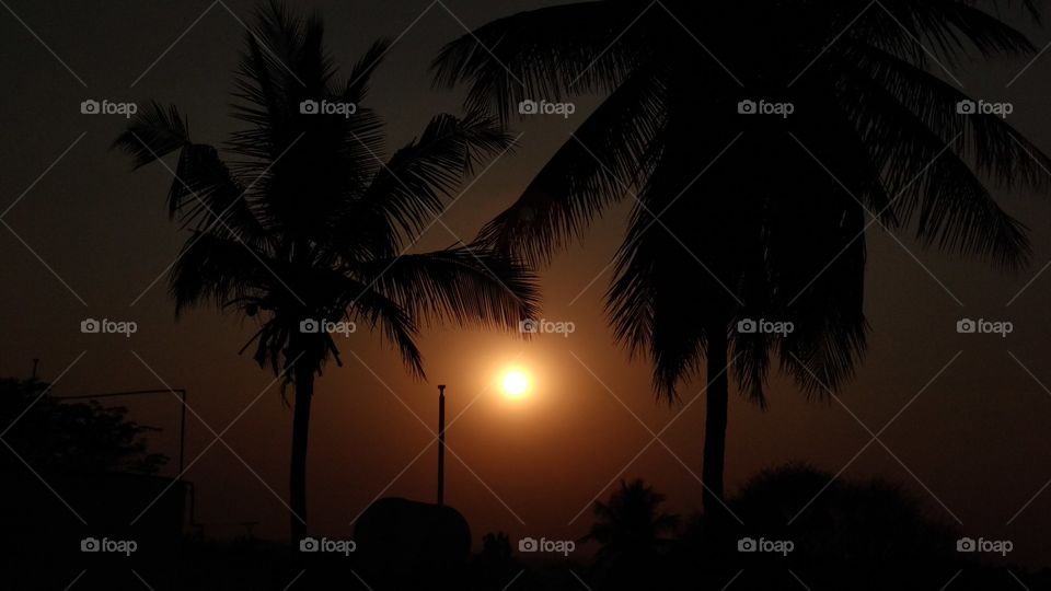 At the time of evening I captured this photo from my phone . between the two palm tree sun is there.