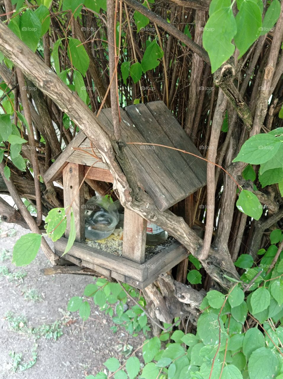 birdhouse