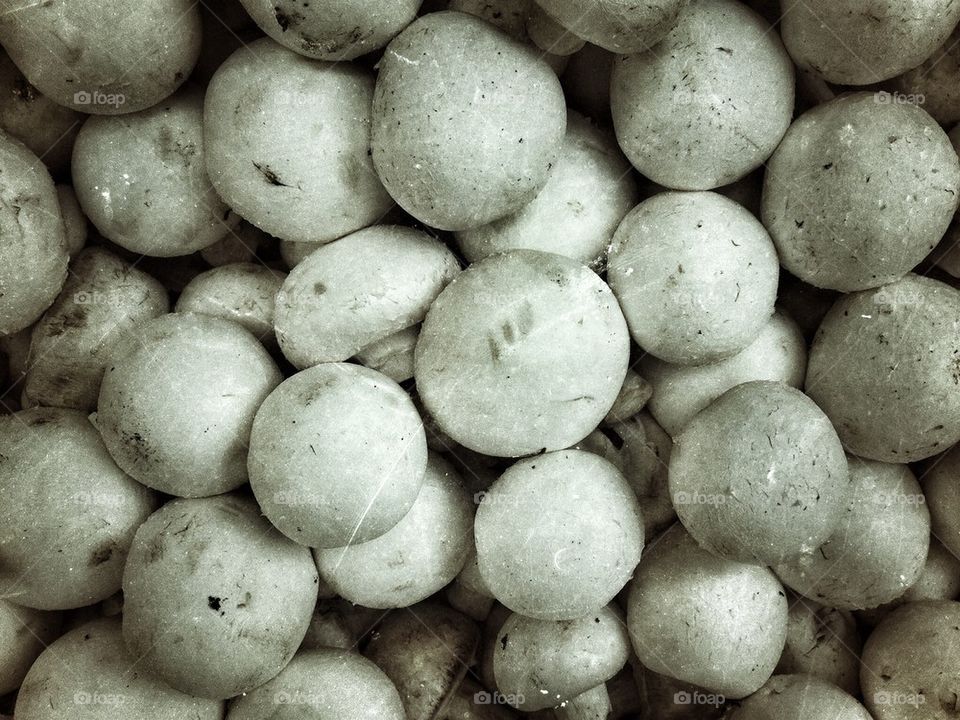 Textured white mushrooms