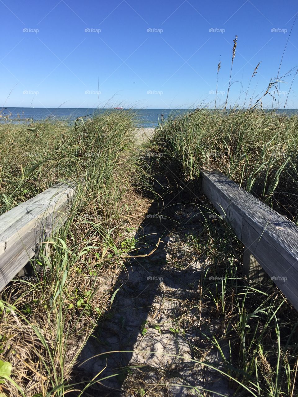 Grass, Nature, Sky, Landscape, Travel