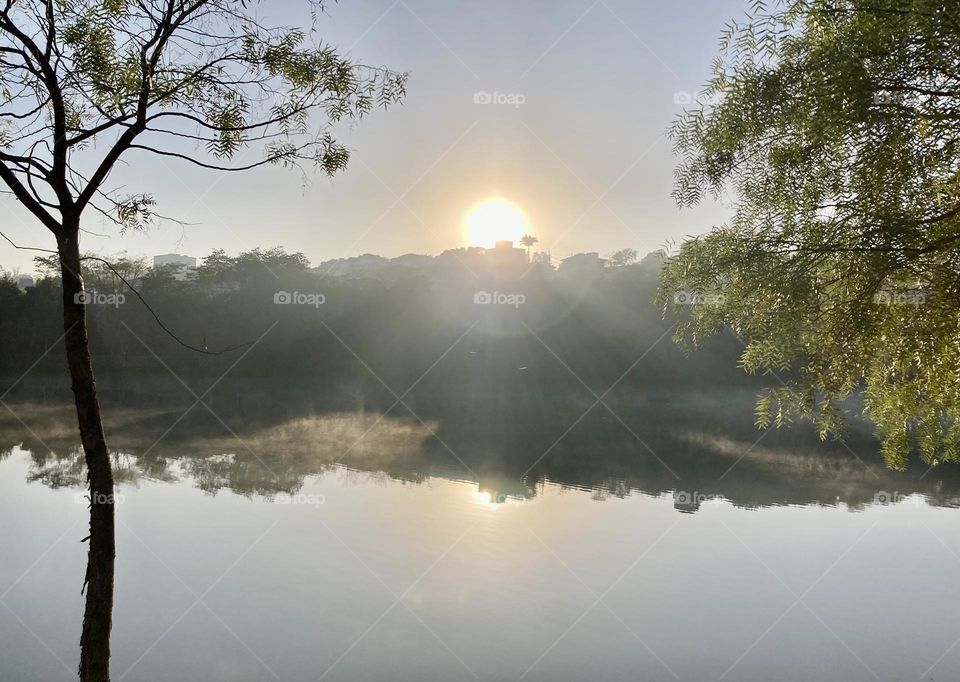 Um lindo espelho d’água no Parque Antônio Fattori, em Itatiba: é o que a natureza nos permite registrar!

Fotografar desestressa!