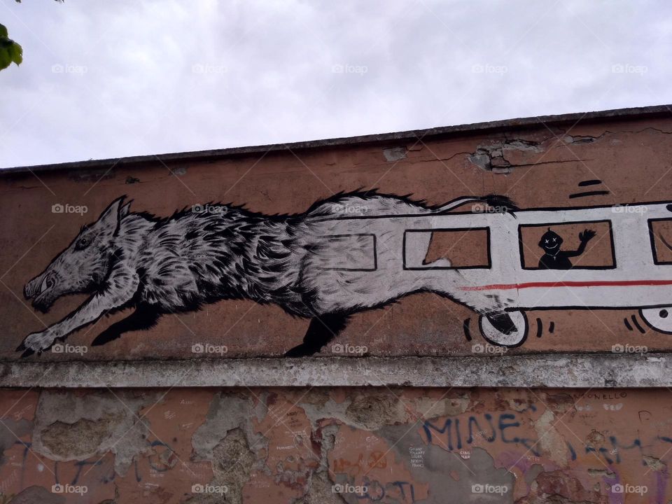 Editors' Choice - Photo of the Week