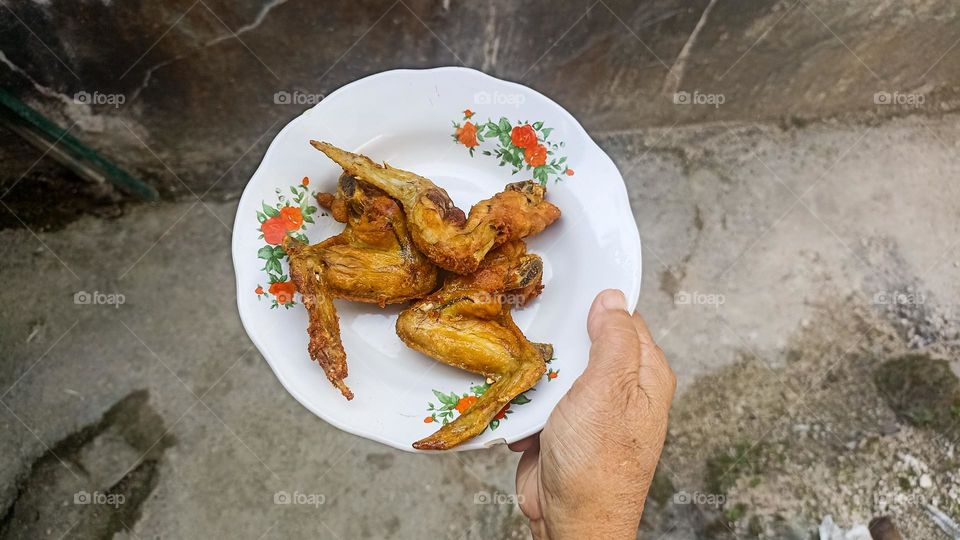 a person holding a plate containing fried chicken wings