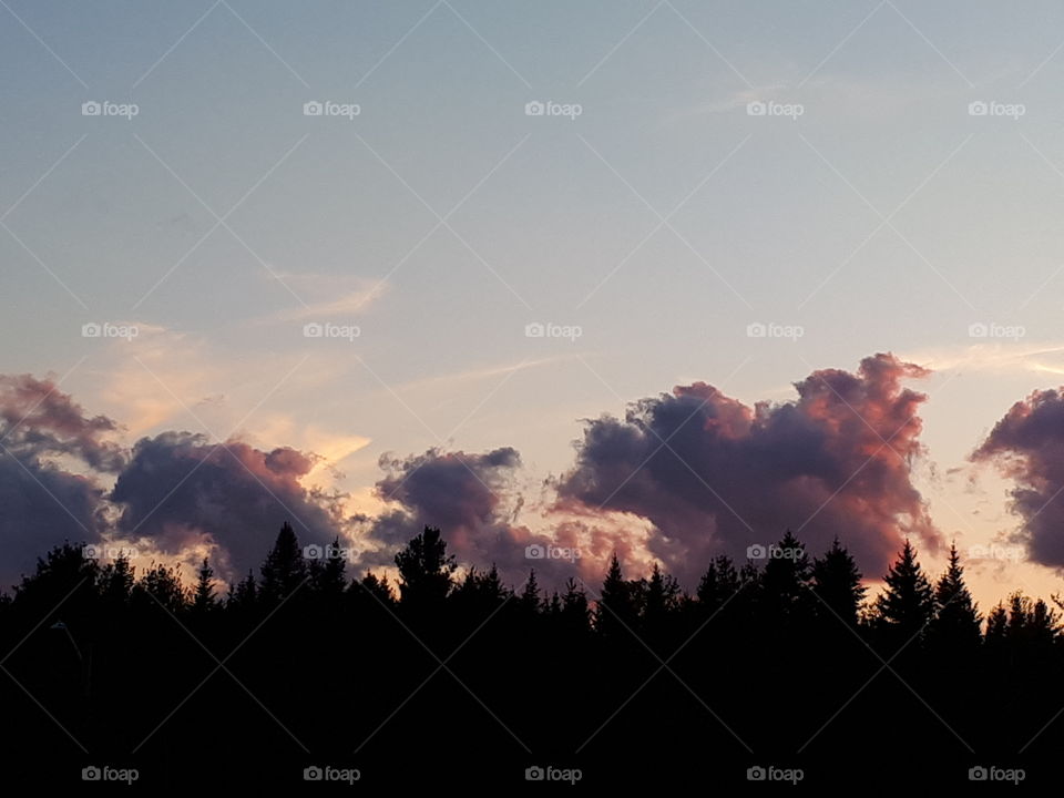 evening sky