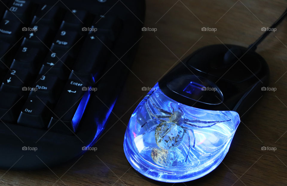 Light up computer mouse and keyboard