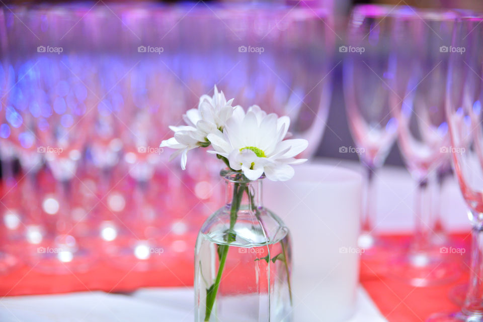 Flowers in a glass