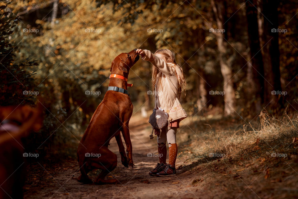 Little girl playing with dogs in an autumn park