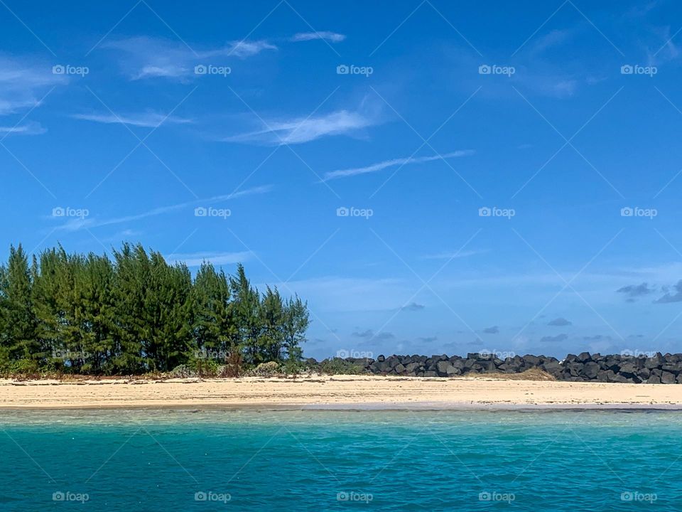 Trees on a white sand. Beautiful sky and ocean.