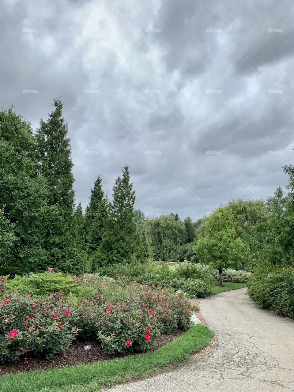 Extraordinary Beauty of Nature