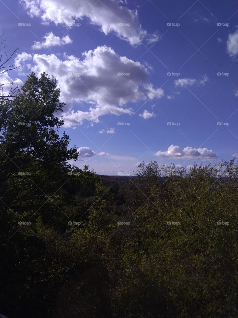 Best of 2021: Nature