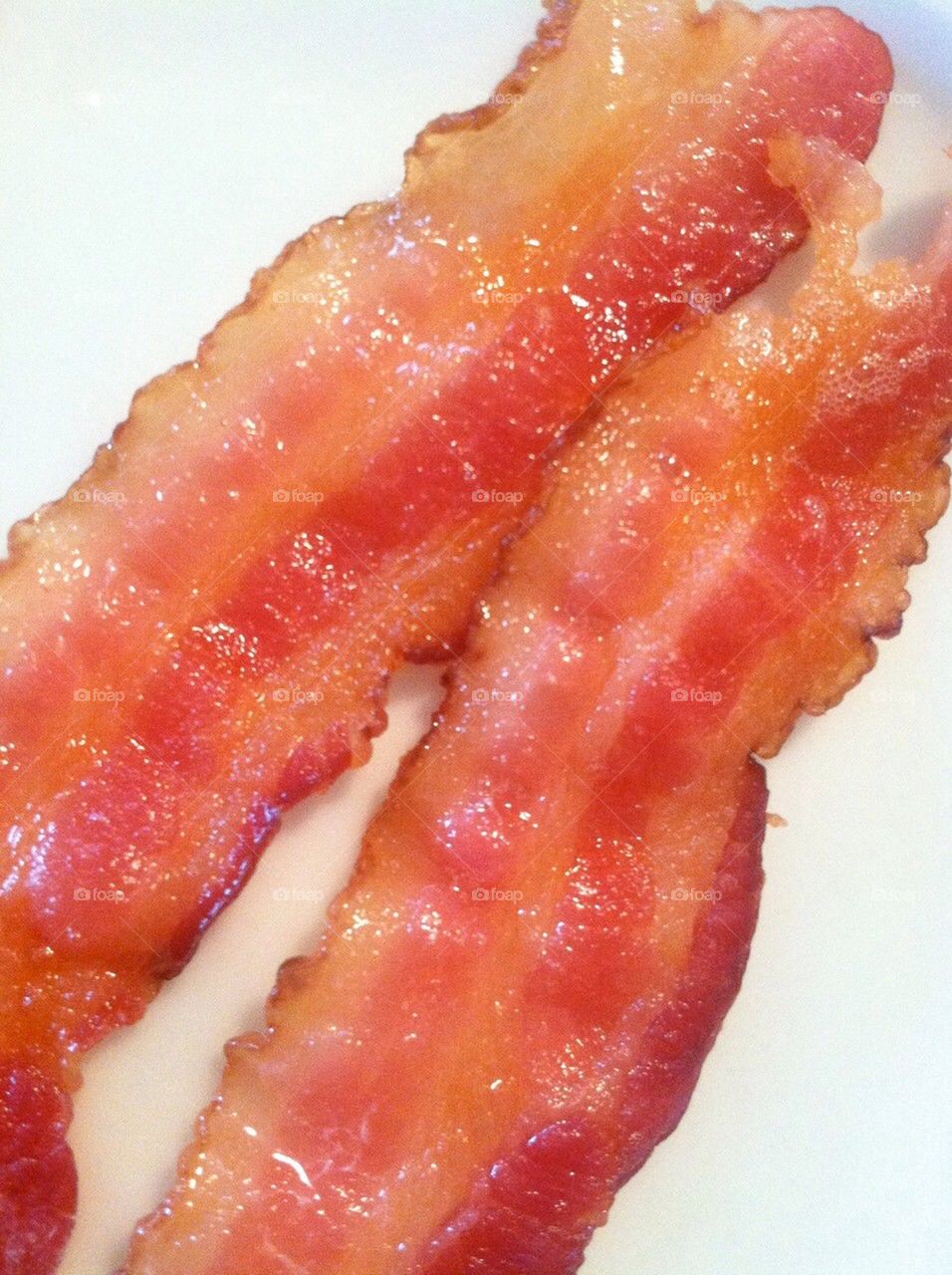 All you need is bacon