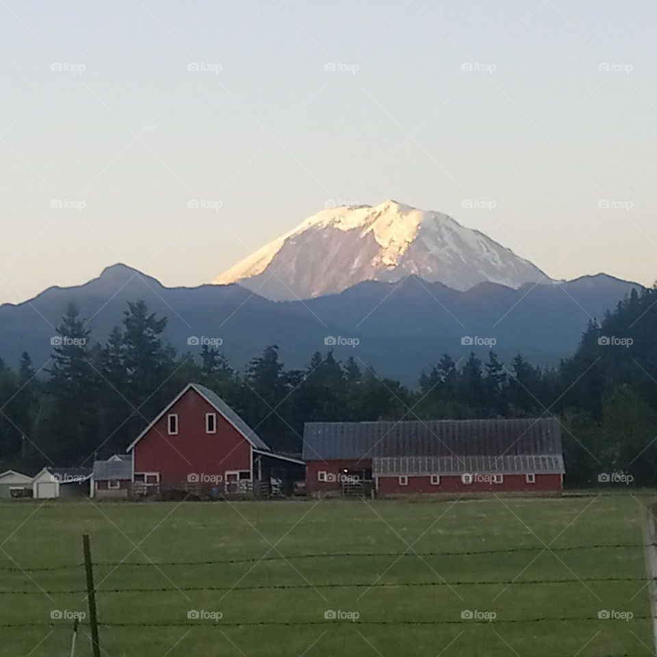 A red barn settled in a grassy field with foothills and Mount Rainier towering in the background.