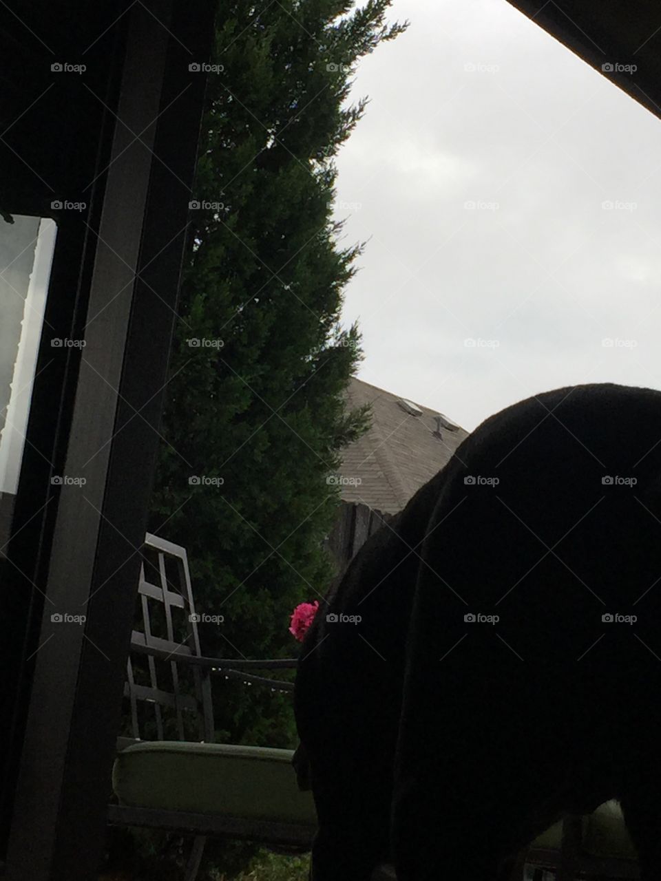 People, Landscape, Storm, Light, Rain