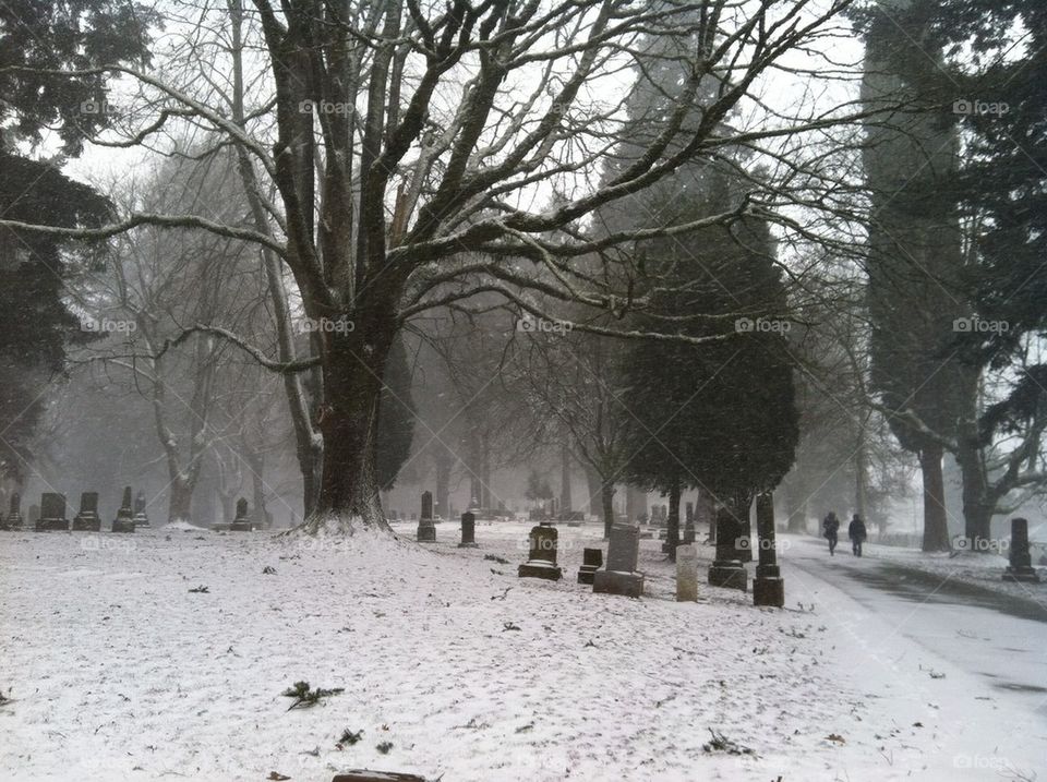 Portland Cemetery in snow