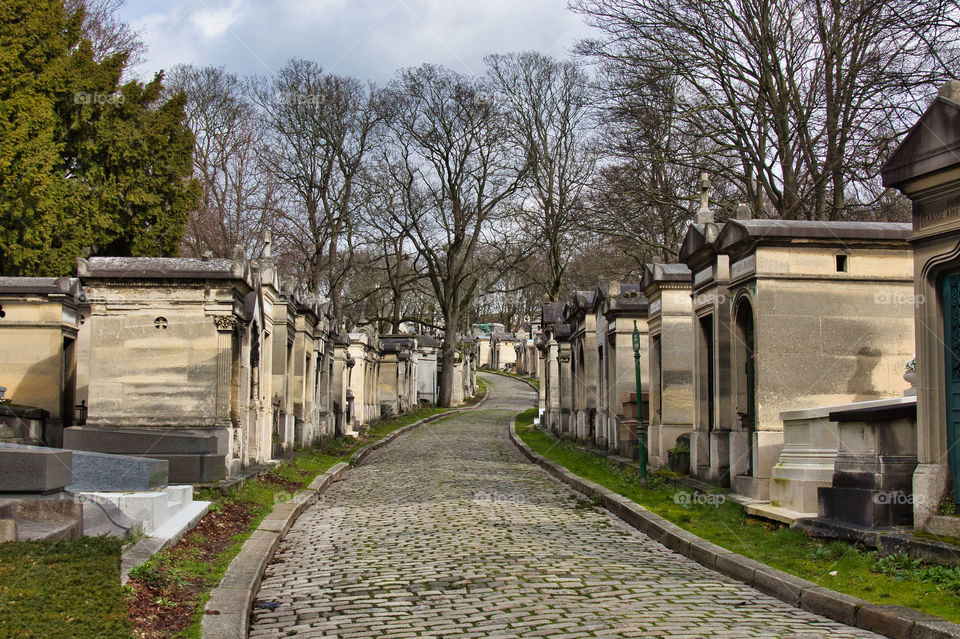 graveyard in the cemetery in paris