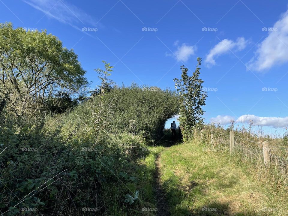 An everyday walk on a beautiful Autumn blue sky day 💙