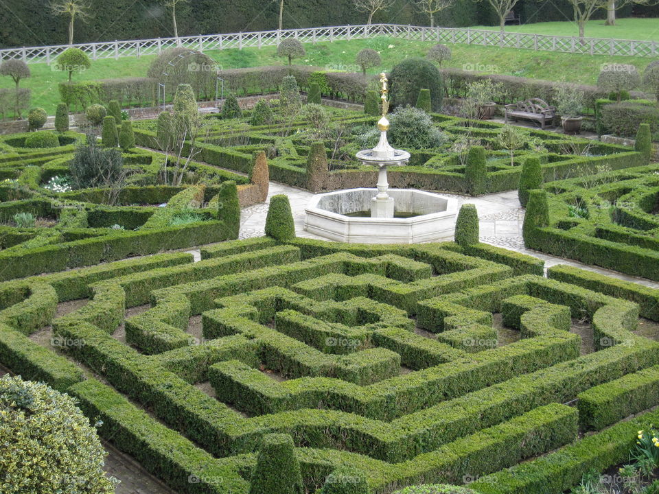 Topiary, Labyrinth, Garden, No Person, Agriculture