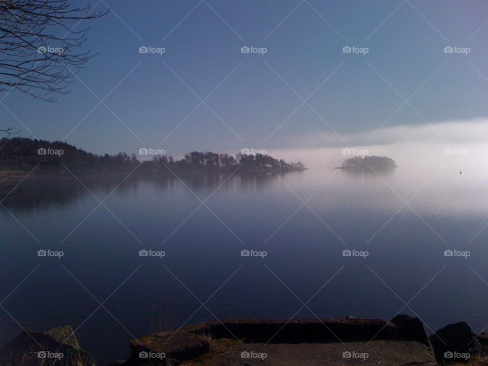 Lake. Fog