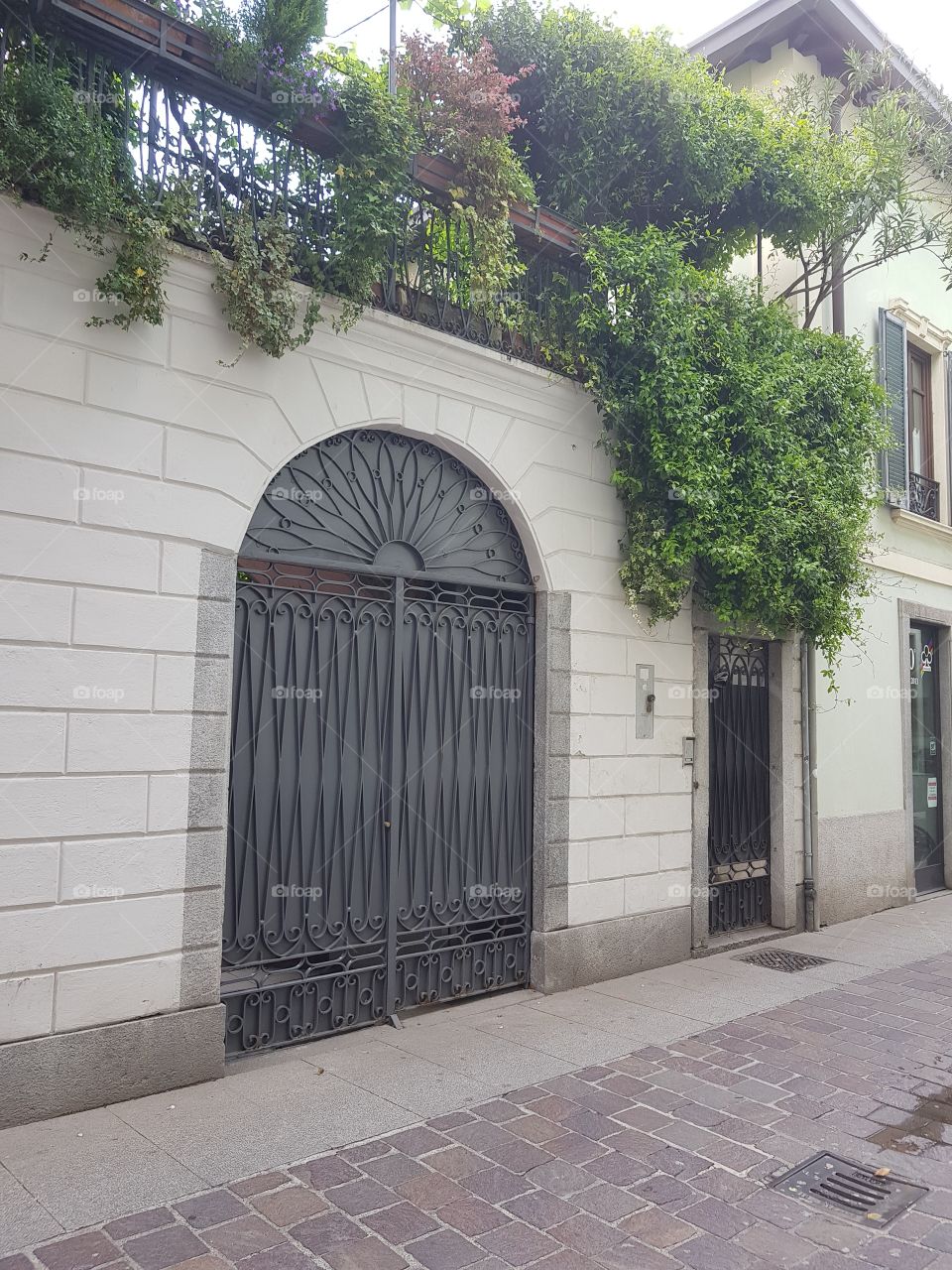 Gate and ivy - Como, Lombardy, Italy.