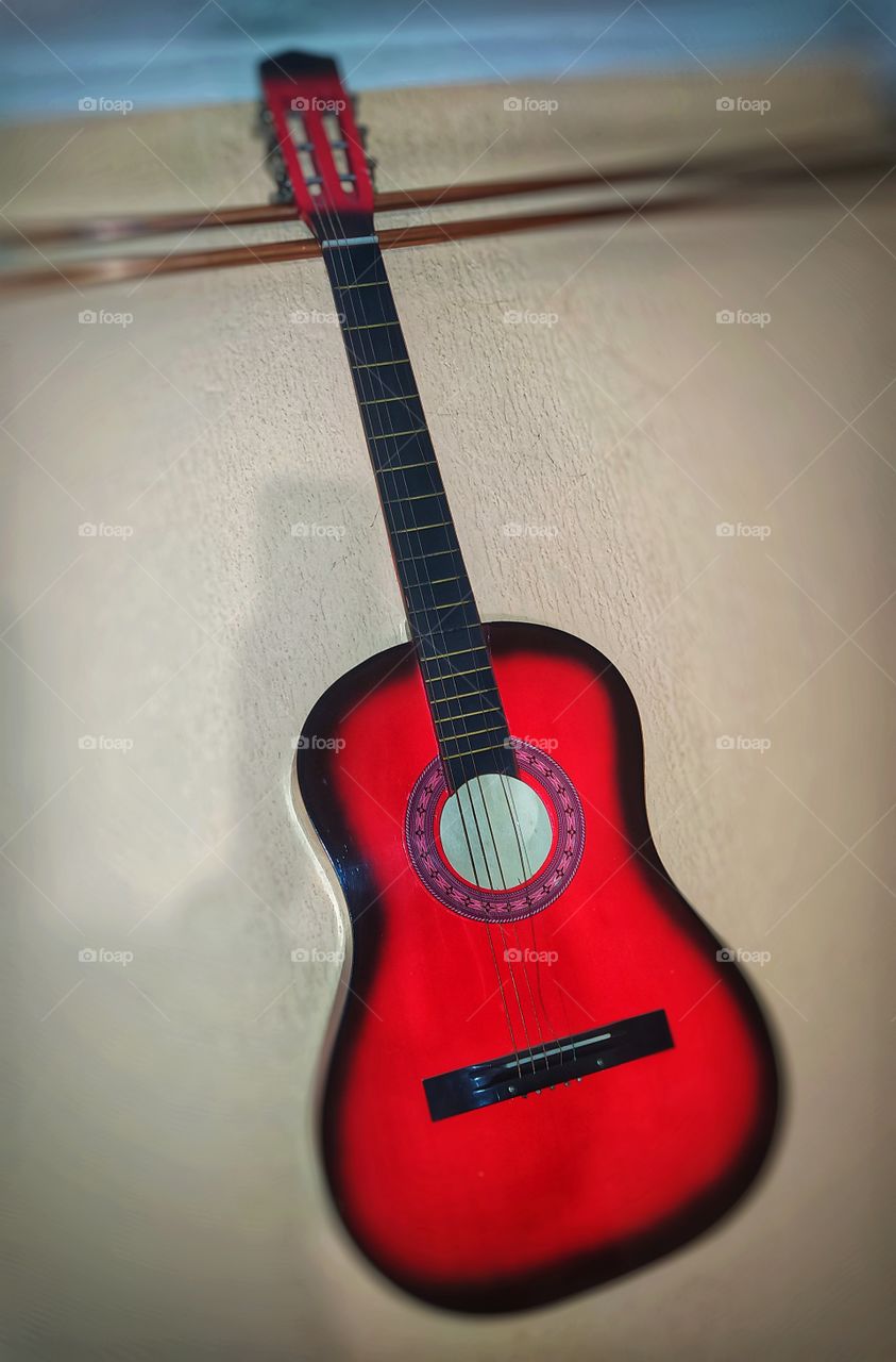 Guitar