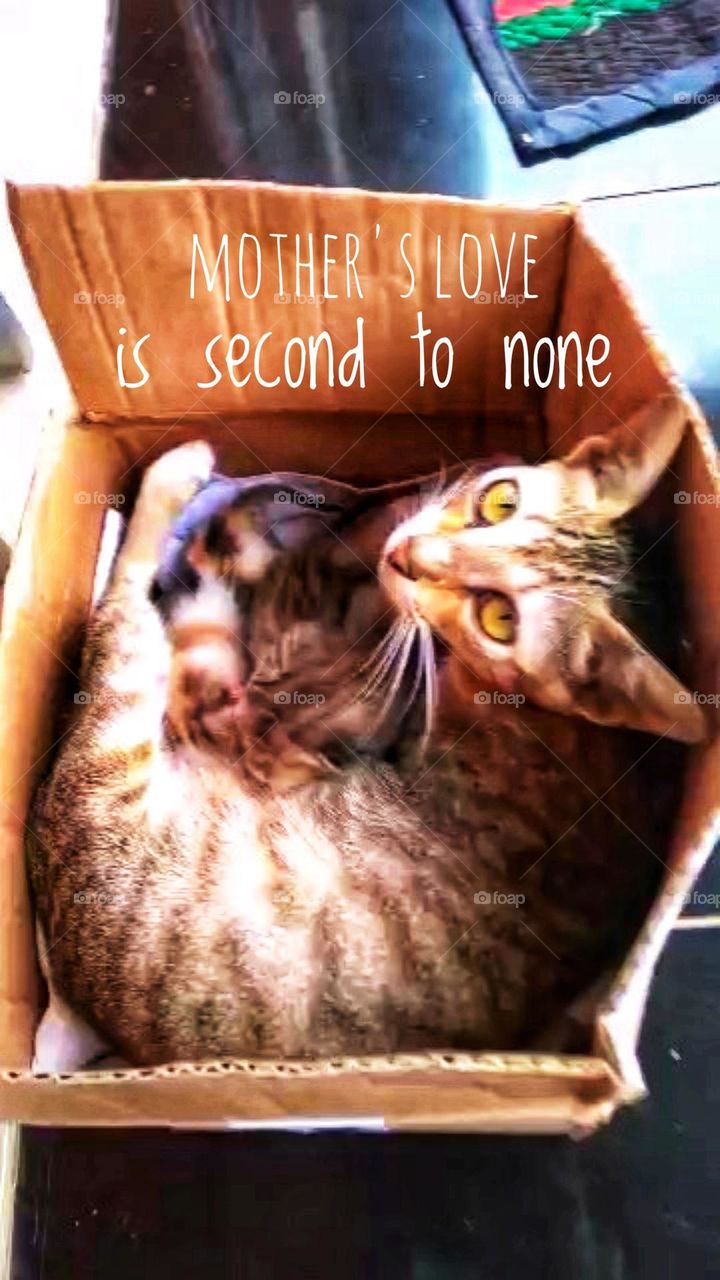 Mother's love is second to none