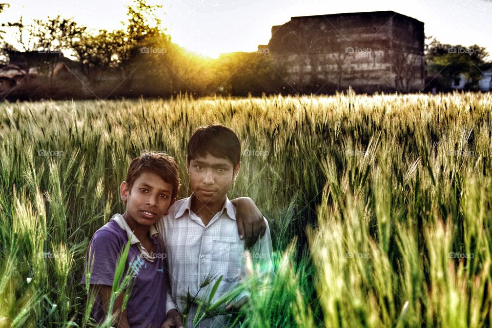 Two boys pose for the camera in a barley field, Rajasthan, India . Two boys pose for the camera in a barley field, Rajasthan, India 