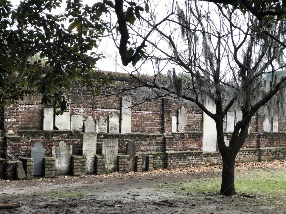 Savannah cemetery