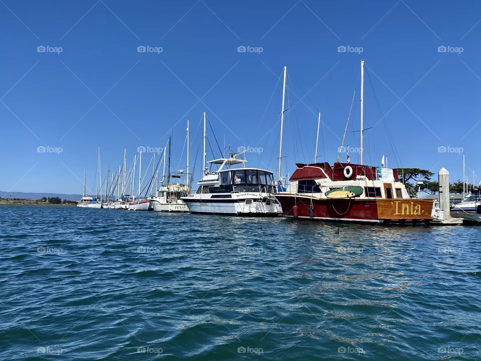 Kayaking past the Elkhorn Yacht Club in Moss Landing California 