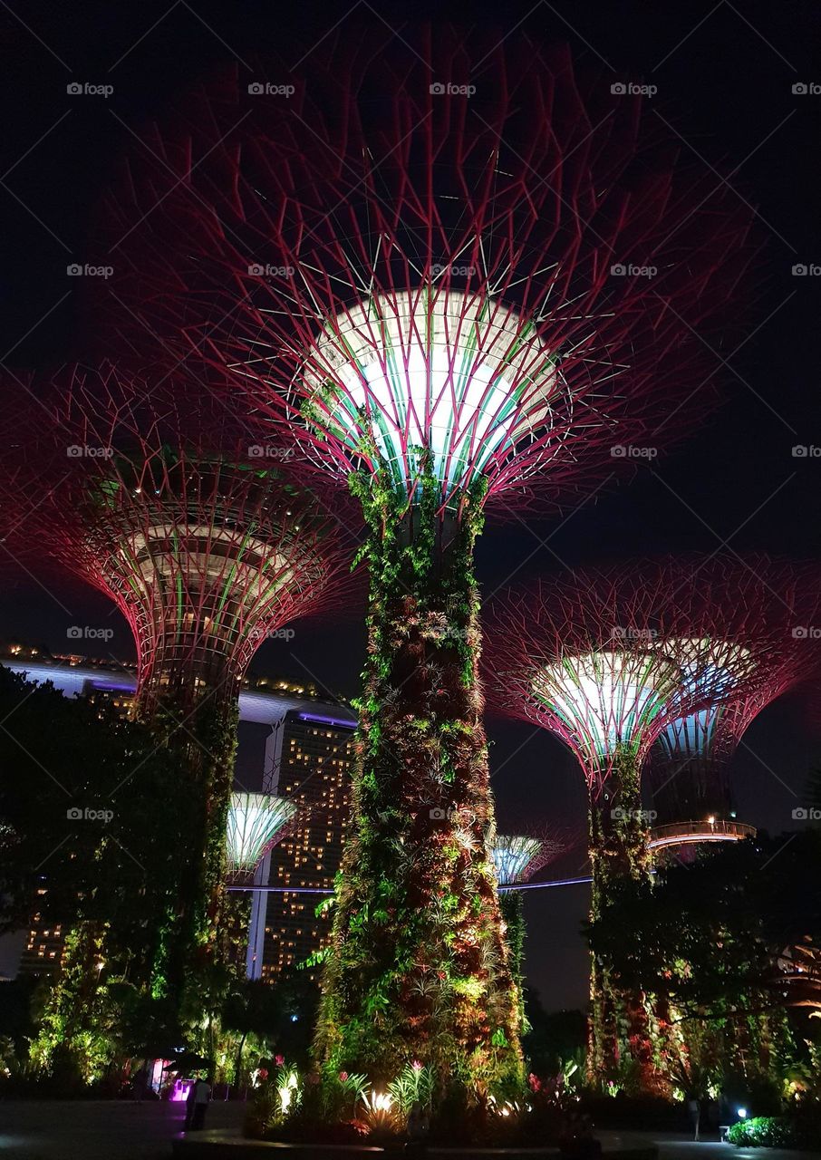 singapore super trees