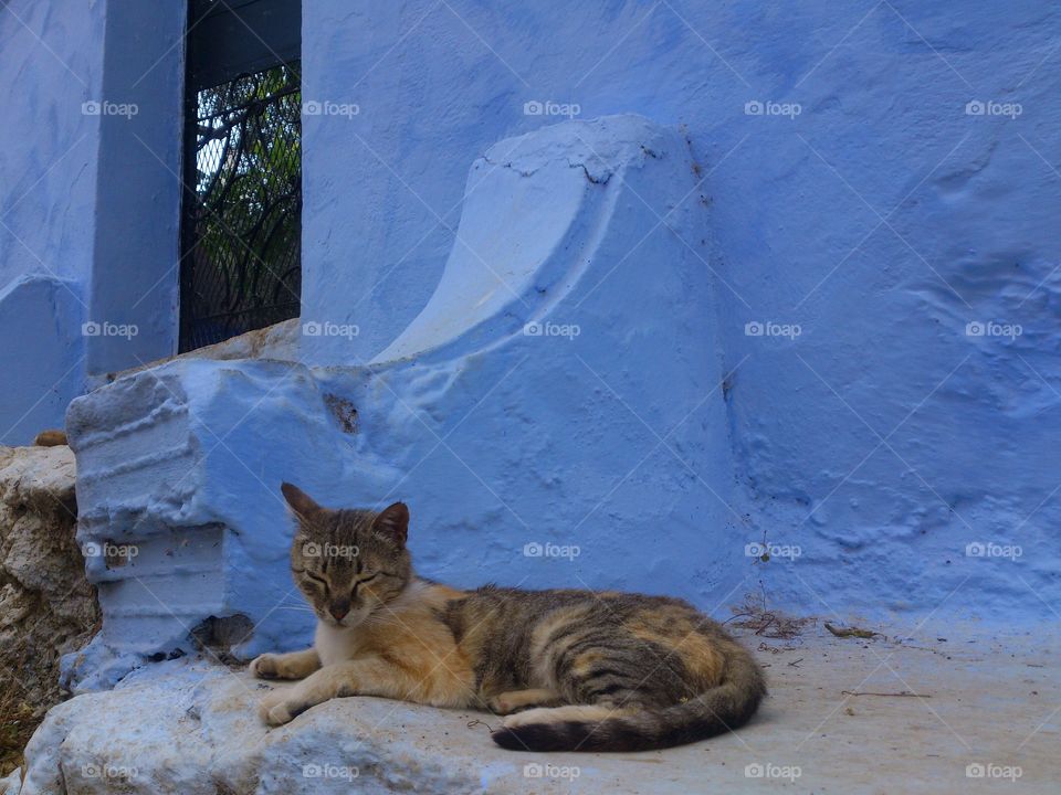 In the city of Chefchaouen