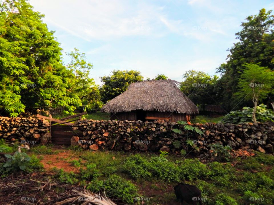 Blend with nature. This is traditional house in Rote Ndao. Indonesia.