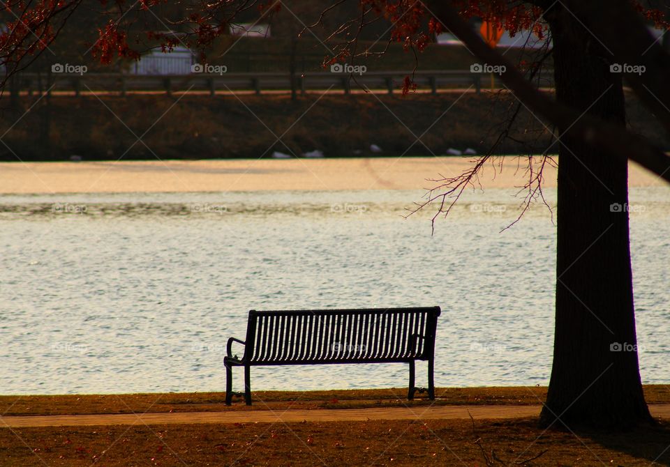 the bench, river and sunset