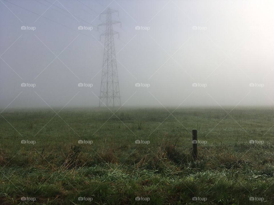 Fields of Fog
