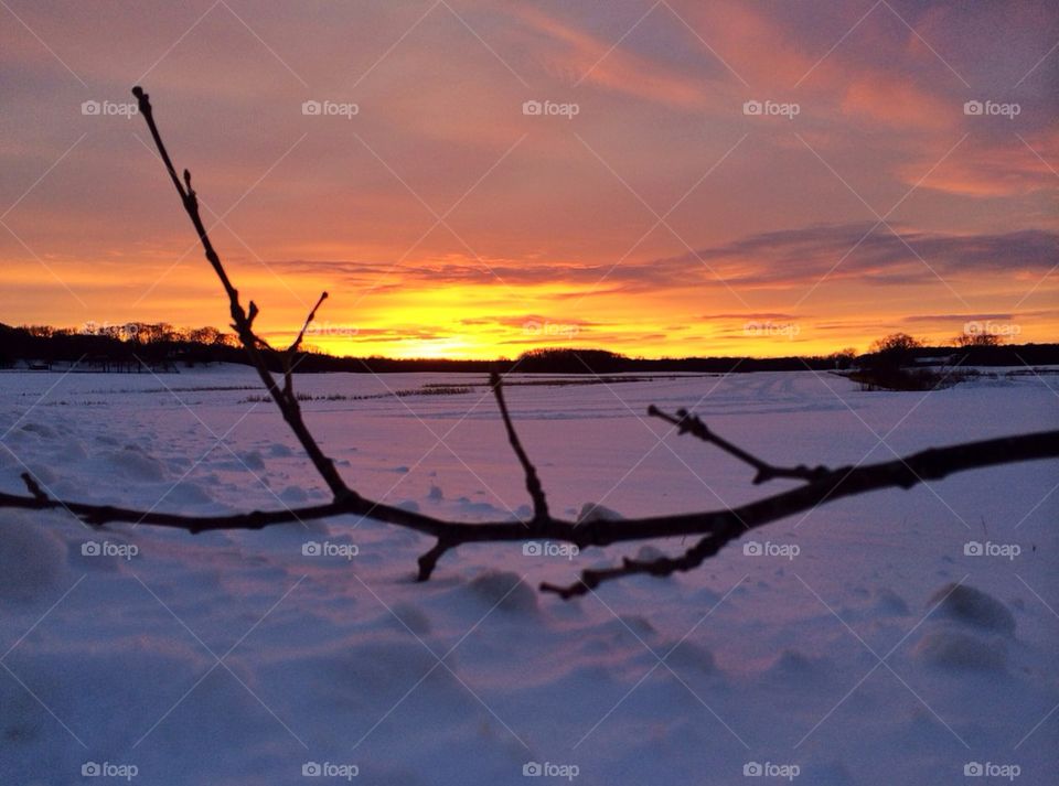 Frozen beauty