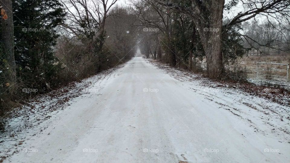 Snowfall On Back Road