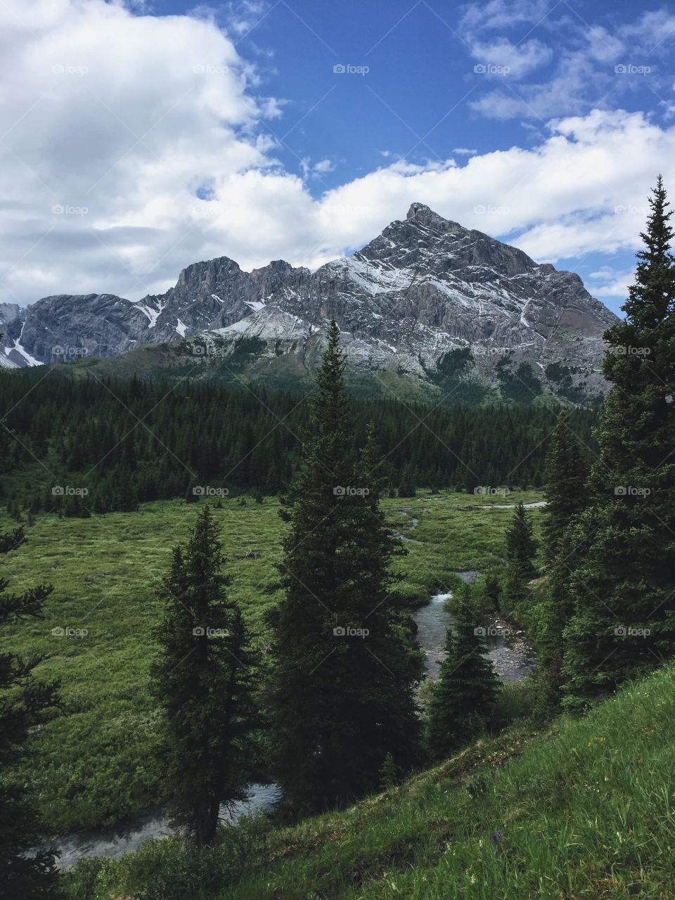 Kananaskis Sights 