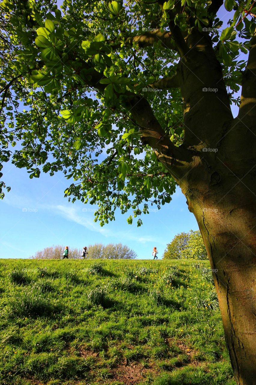 Kids playing in nature. Kids are playing in a field