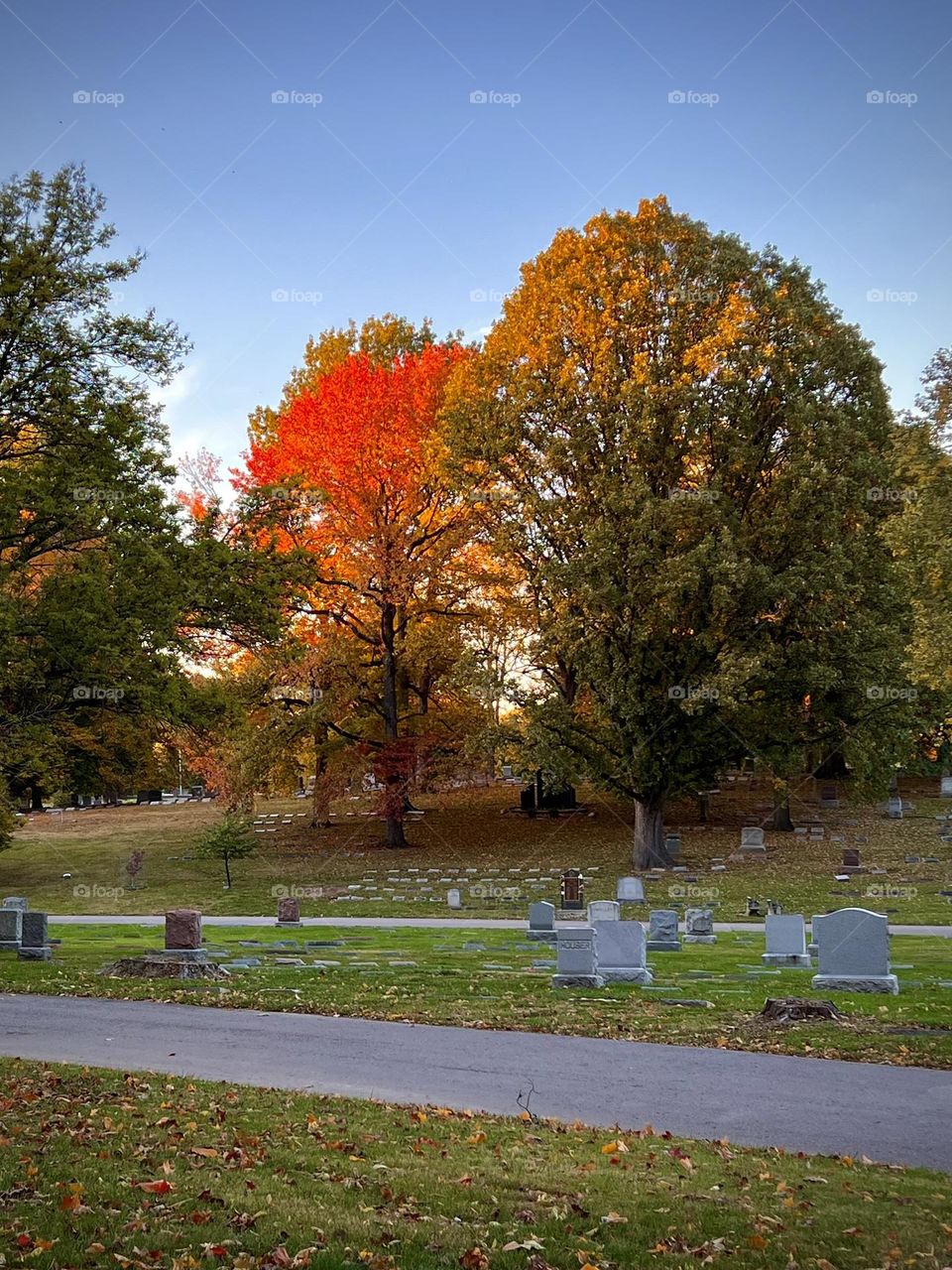 An autumn walk through a beautiful cemetery 