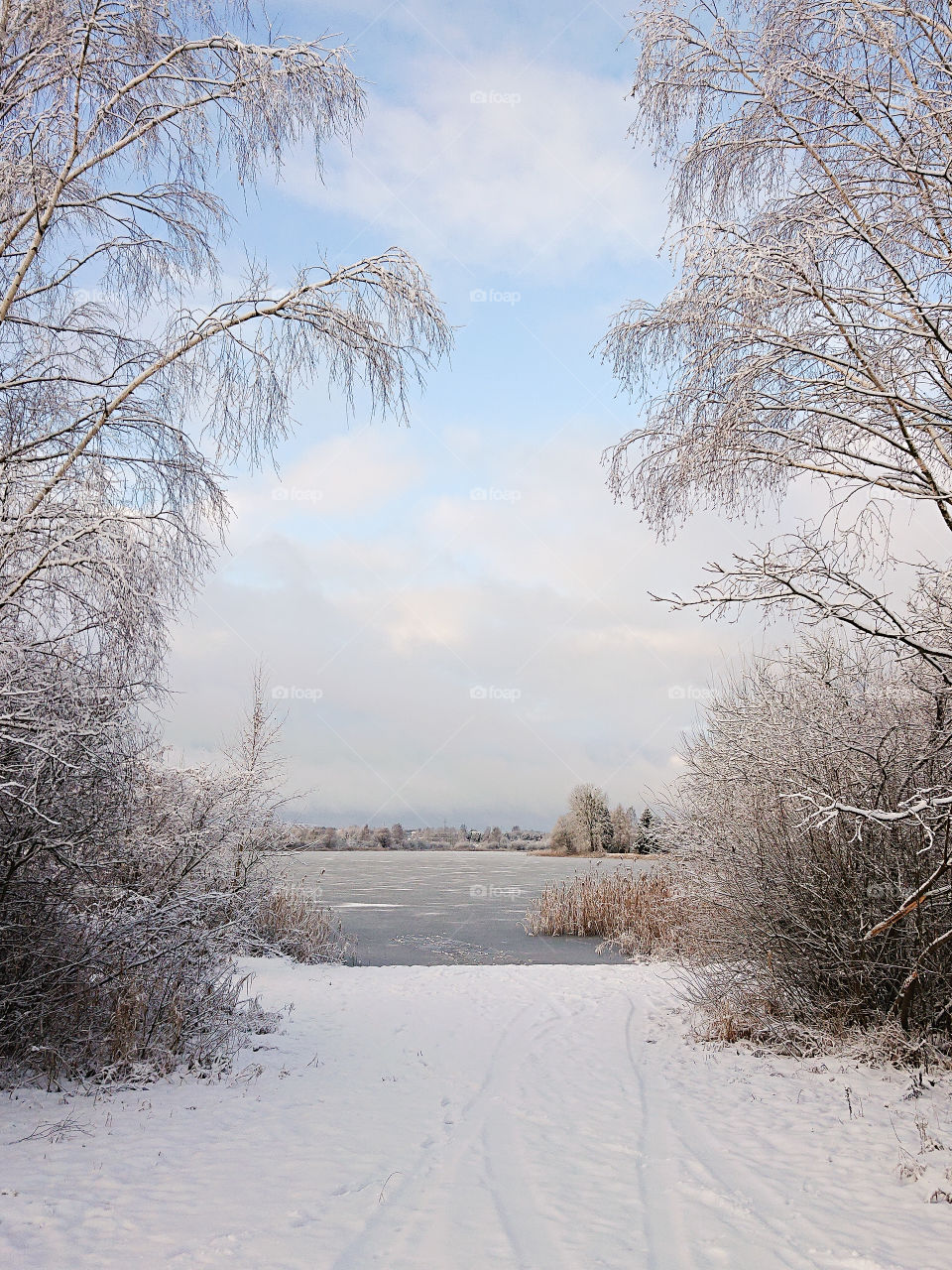 Winter in Poland