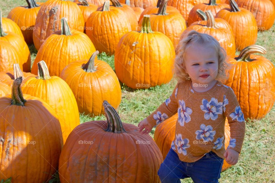 Pumpkin, Halloween, Fall, Thanksgiving, Gourd