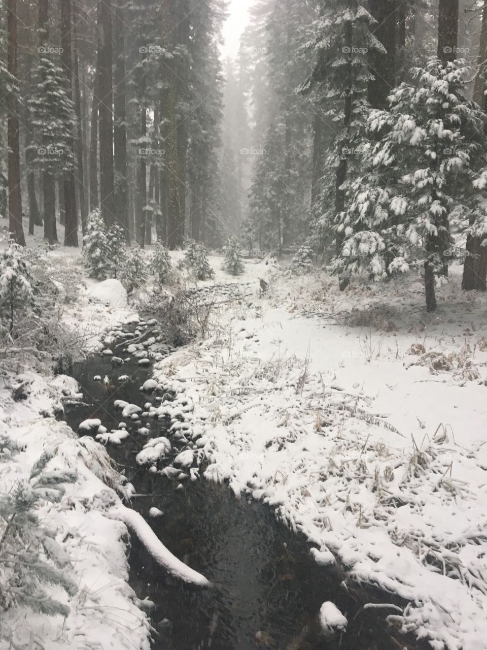 Cold Springs is beautiful 