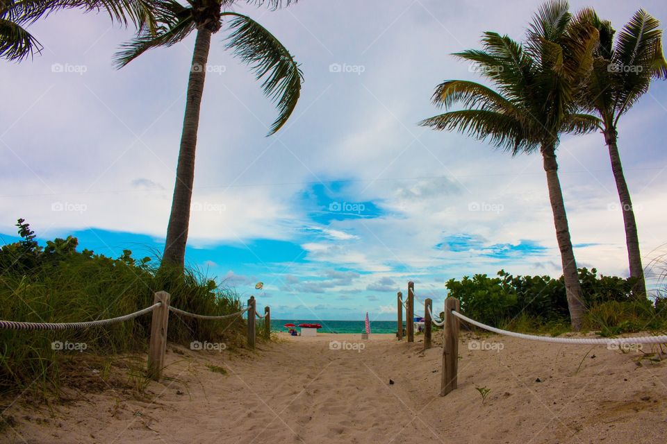 Beach path