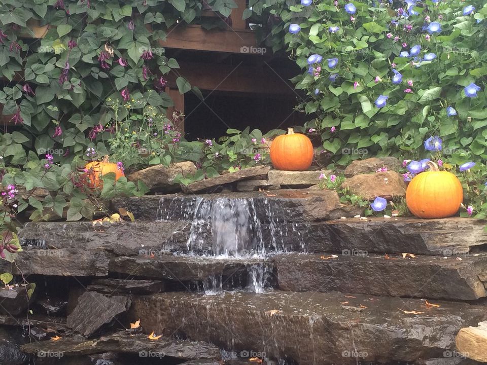 Pumpkin Waterfall