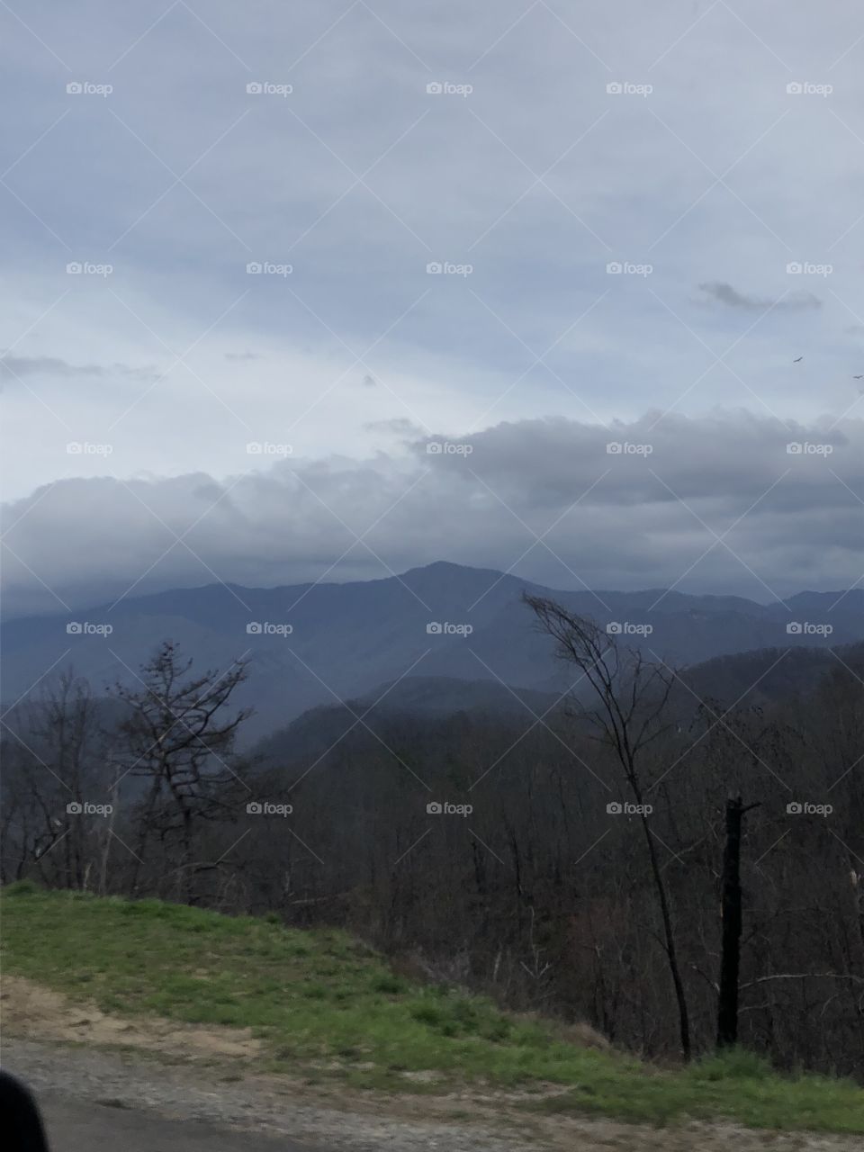 Blue Hued Smokey Mountains