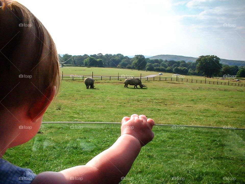 On Safari