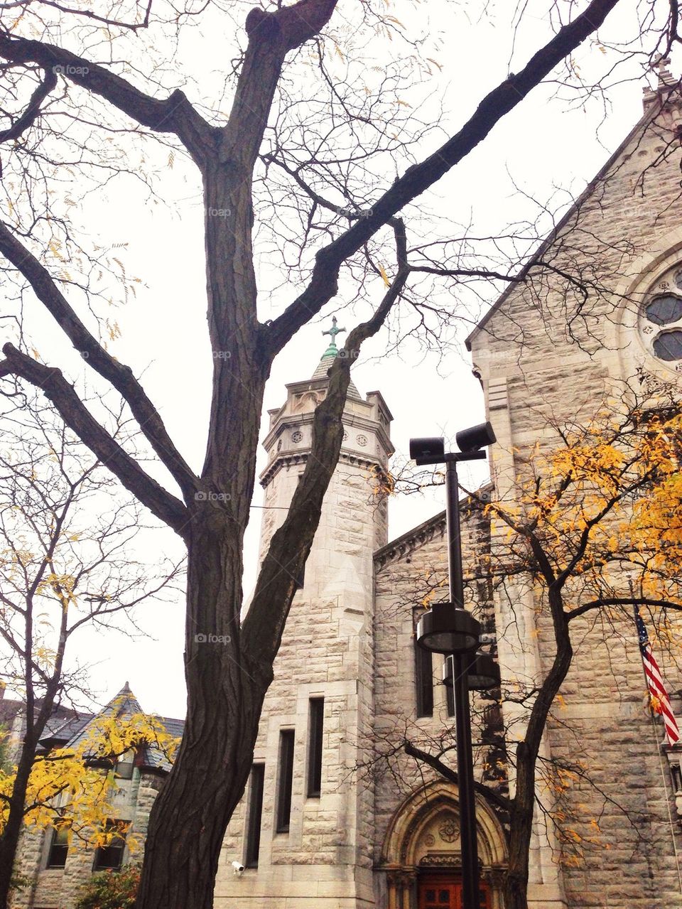 Trees and Church