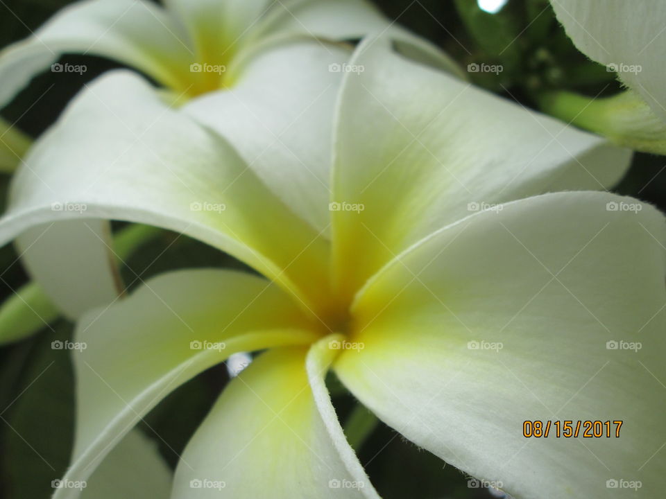 So nicely coloured huh!!! isn't it hummm!!!!