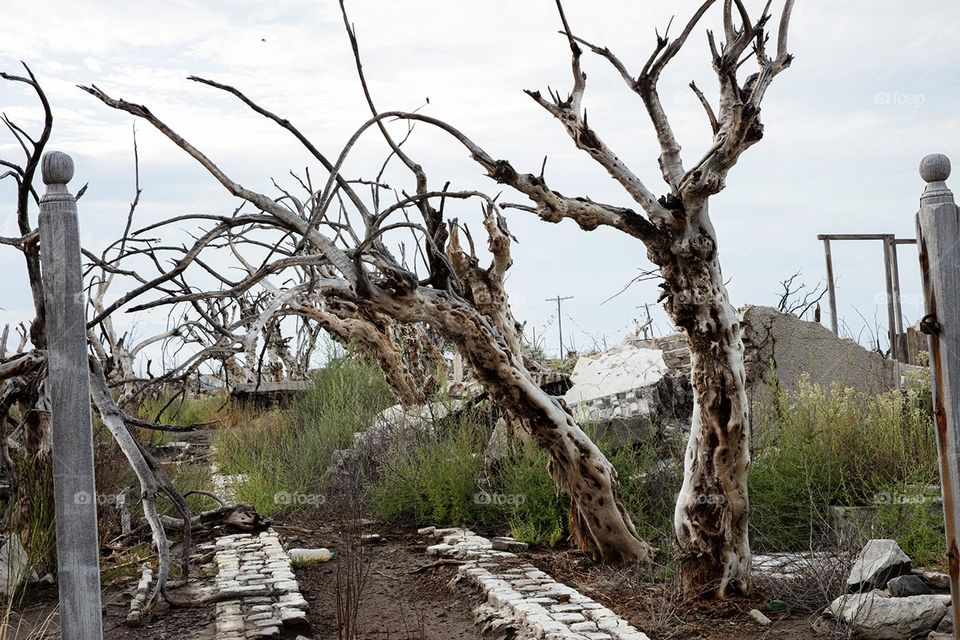 Destruction of a small town 